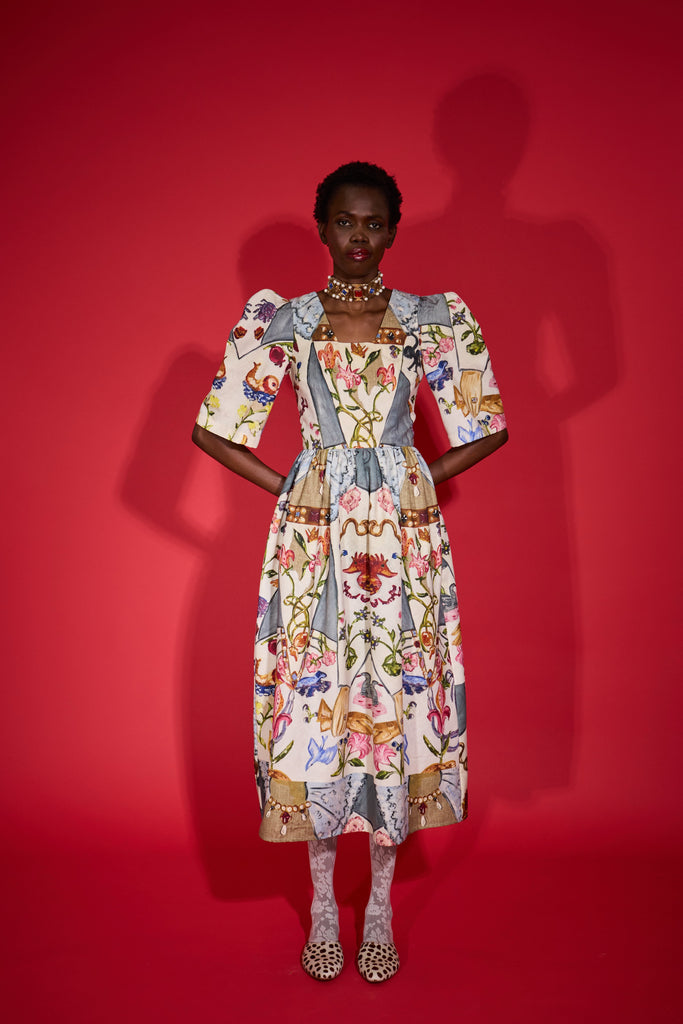 Big Sleeve Print Dress